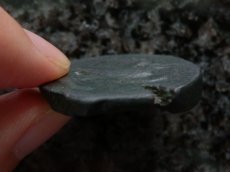 画像4: 古代ギリシャコイン　シチリア島アクラガス　銅貨　前４２０－前４０６年　魚を捕えるワシ　カニとタコと貝 (4)