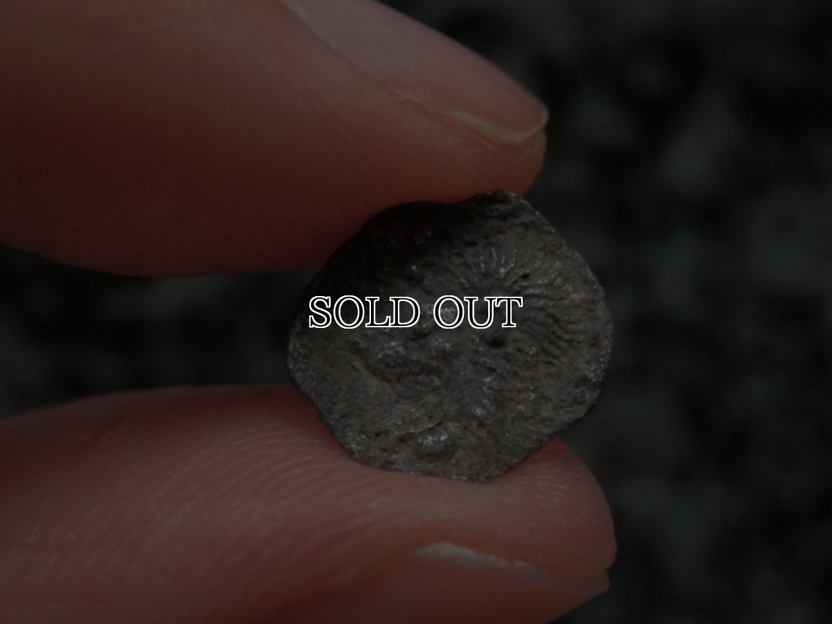 画像10: 古代ギリシャコイン(額装付き)　ミュシア地方　キュジコス　前４８０－前４５０年　オボル銀貨　イノシシとライオン (10)