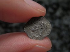 画像10: 古代ギリシャコイン(額装付き)　ミュシア地方　キュジコス　前４８０－前４５０年　オボル銀貨　イノシシとライオン (10)
