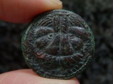 画像5: 古代ギリシャコイン　ブルッティウム　レギウム　前３５０－前２７０年　上から見たライオンの頭の毛皮　アポロン (5)