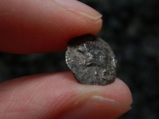 画像16: 古代ギリシャコイン(額装付き)　ミュシア地方　キュジコス　前４８０－前４５０年　オボル銀貨　イノシシとライオン (16)