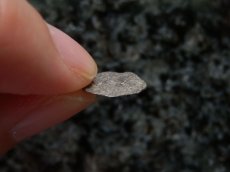 画像9: 古代ギリシャコイン(額装付き)　ミュシア地方　キュジコス　前４８０－前４５０年　オボル銀貨　イノシシとライオン (9)