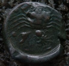 ギリシャコイン　シチリア・アクラガス　ヘミリトロン銅貨　前5世紀　魚を捕えるワシ　カニとタコと貝