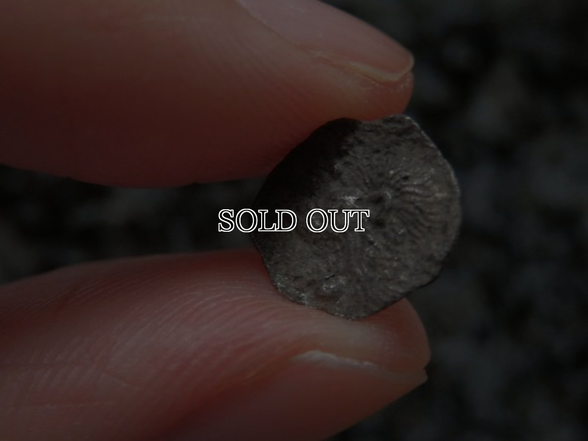 画像11: 古代ギリシャコイン(額装付き)　ミュシア地方　キュジコス　前４８０－前４５０年　オボル銀貨　イノシシとライオン (11)