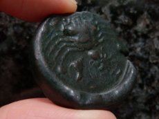 画像6: 古代ギリシャコイン　シチリア島アクラガス　銅貨　前４２０－前４０６年　魚を捕えるワシ　カニとタコと貝 (6)