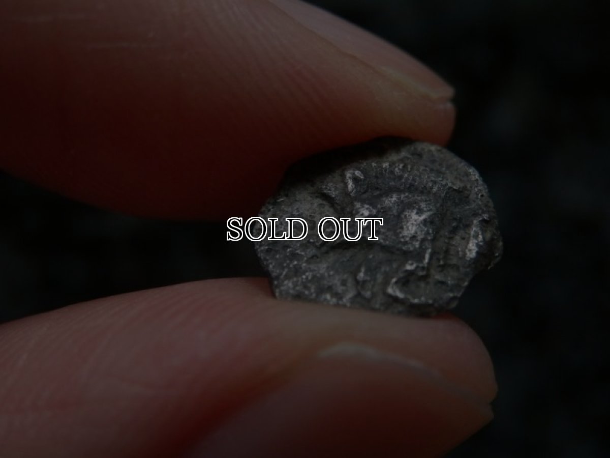 画像17: 古代ギリシャコイン(額装付き)　ミュシア地方　キュジコス　前４８０－前４５０年　オボル銀貨　イノシシとライオン (17)