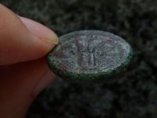 画像4: 古代ギリシャコイン　ブルッティウム　レギウム　前３５０－前２７０年　上から見たライオンの頭の毛皮　アポロン (4)