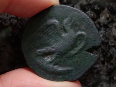 画像8: 古代ギリシャコイン　シチリア島アクラガス　銅貨　前４２０－前４０６年　魚を捕えるワシ　カニとタコと貝 (8)