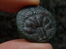 画像8: 古代ギリシャコイン　ブルッティウム　レギウム　前３５０－前２７０年　上から見たライオンの頭の毛皮　アポロン (8)