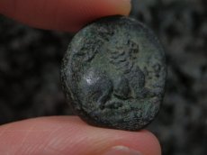 画像11: 古代ギリシャコイン　マケドニア王国　カッサンドロス　前３１９－前２９７年　銅貨　ヘラクレスの肖像　座るライオン　 (11)