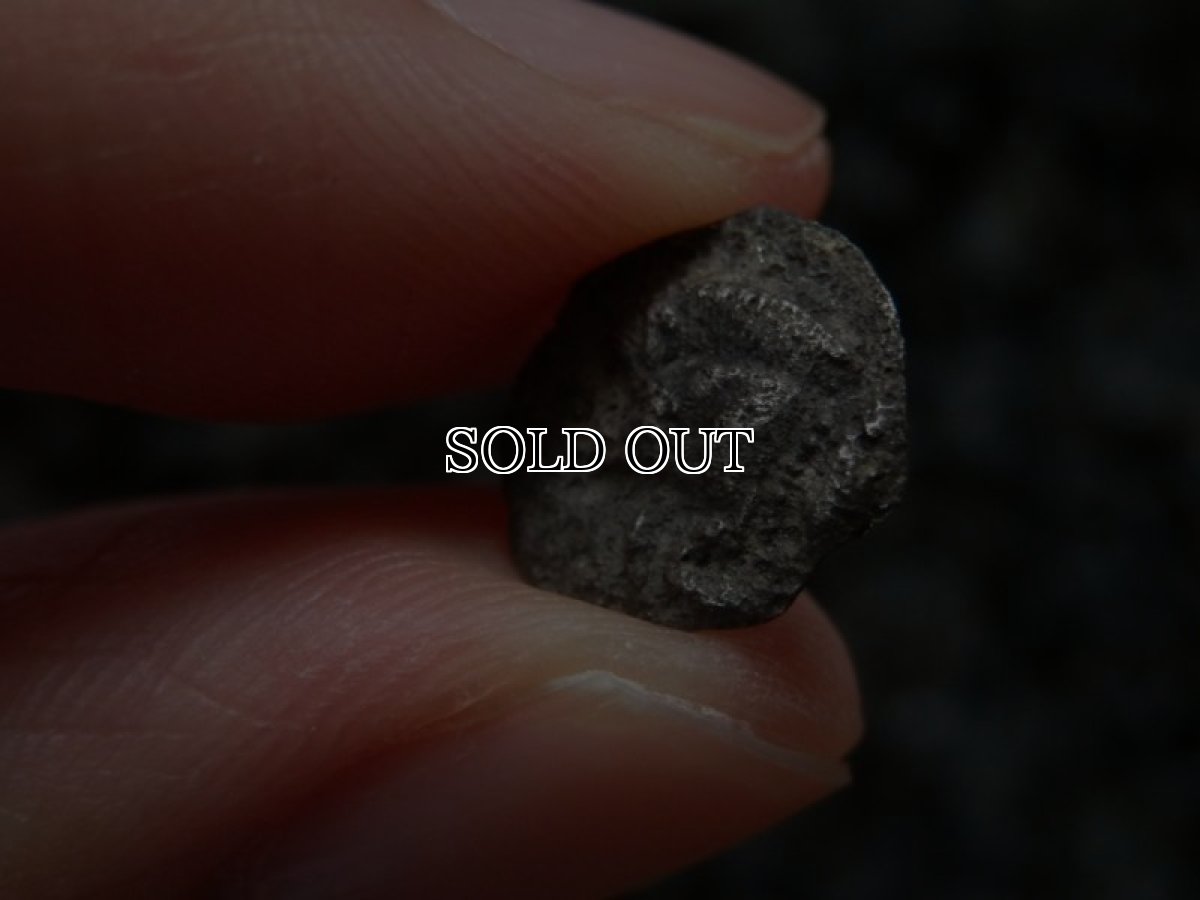 画像15: 古代ギリシャコイン(額装付き)　ミュシア地方　キュジコス　前４８０－前４５０年　オボル銀貨　イノシシとライオン (15)