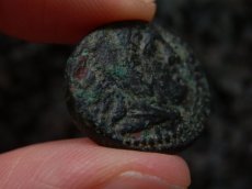 画像7: 古代ギリシャコイン　マケドニア王国　カッサンドロス　前３１９－前２９７年　銅貨　ヘラクレスの肖像　座るライオン　 (7)