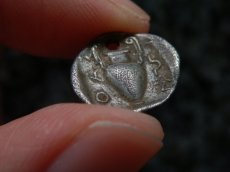 画像17: 古代ギリシャコイン(額装付き)　トラキア　タソス島　前４００－前３５０年　銀貨　カンタロスを持つサテュロス　アンフォラ (17)
