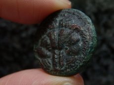 画像7: 古代ギリシャコイン　ブルッティウム　レギウム　前３５０－前２７０年　上から見たライオンの頭の毛皮　アポロン (7)