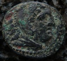 ギリシャコイン　マケドニア　カッサンドロス　前4世紀　ブロンズ貨　ヘラクレスの肖像　座るライオン　