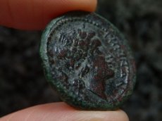 画像12: 古代ギリシャコイン　ブルッティウム　レギウム　前３５０－前２７０年　上から見たライオンの頭の毛皮　アポロン (12)