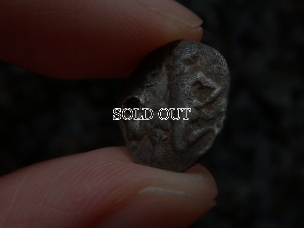 画像12: 古代ギリシャコイン(額装付き)　トラキア　タソス島　前４００－前３５０年　銀貨　カンタロスを持つサテュロス　アンフォラ (12)