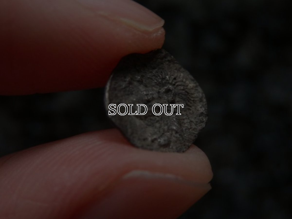 画像12: 古代ギリシャコイン(額装付き)　ミュシア地方　キュジコス　前４８０－前４５０年　オボル銀貨　イノシシとライオン (12)