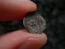 画像12: 古代ギリシャコイン(額装付き)　ミュシア地方　キュジコス　前４８０－前４５０年　オボル銀貨　イノシシとライオン (12)