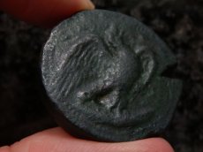 画像9: 古代ギリシャコイン　シチリア島アクラガス　銅貨　前４２０－前４０６年　魚を捕えるワシ　カニとタコと貝 (9)