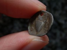 画像15: 古代ギリシャコイン(額装付き)　トラキア　タソス島　前４００－前３５０年　銀貨　カンタロスを持つサテュロス　アンフォラ (15)