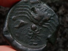 画像7: 古代ギリシャコイン　シチリア島アクラガス　銅貨　前４２０－前４０６年　魚を捕えるワシ　カニとタコと貝 (7)