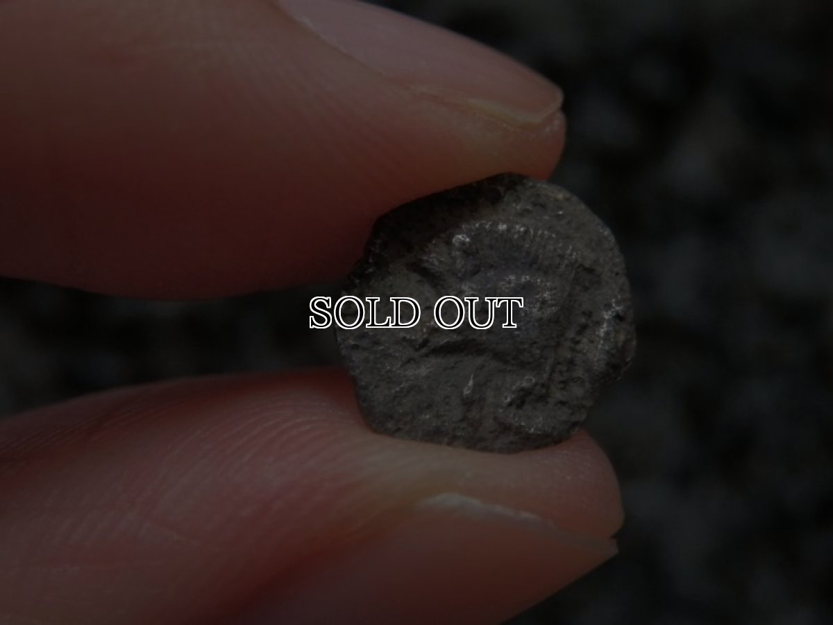 画像14: 古代ギリシャコイン(額装付き)　ミュシア地方　キュジコス　前４８０－前４５０年　オボル銀貨　イノシシとライオン (14)