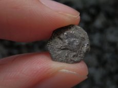 画像14: 古代ギリシャコイン(額装付き)　ミュシア地方　キュジコス　前４８０－前４５０年　オボル銀貨　イノシシとライオン (14)