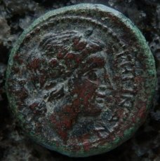 画像3: 古代ギリシャコイン　ブルッティウム　レギウム　前３５０－前２７０年　上から見たライオンの頭の毛皮　アポロン (3)