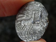 画像6: 古代ローマコイン　共和政期　前133年　プブリウス・カルプルニウス　デナリウス銀貨　ローマ神の肖像　２頭立て戦車を操るウェヌス神 (6)