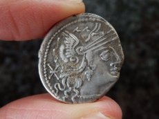 画像3: 古代ローマコイン　共和政期　前133年　プブリウス・カルプルニウス　デナリウス銀貨　ローマ神の肖像　２頭立て戦車を操るウェヌス神 (3)