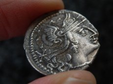 ローマコイン　共和政期　前133年　プブリウス・カルプルニウス　デナリウス銀貨　ローマ神の肖像　２頭立て戦車を操るウェヌス神