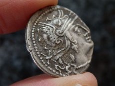 画像4: 古代ローマコイン　共和政期　前133年　プブリウス・カルプルニウス　デナリウス銀貨　ローマ神の肖像　２頭立て戦車を操るウェヌス神 (4)