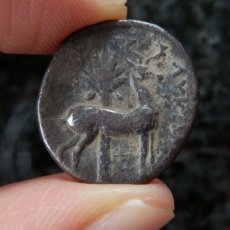 画像6: 古代ギリシャコイン　イオニア地方エフェソス　ドラクマ銀貨　前２０２－前１５０年　エフェソスのアルテミス信仰を象徴する蜂の銀貨 (6)