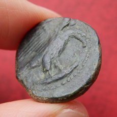 画像9: 古代ギリシャコイン　シチリア島・アクラガス　銅貨　前４２０－前４０６年　シチリア島の海の幸、カニのコイン (9)