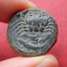 画像4: 古代ギリシャコイン　シチリア島・アクラガス　銅貨　前４２０－前４０６年　シチリア島の海の幸、カニのコイン (4)
