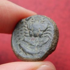 画像6: 古代ギリシャコイン　シチリア島・アクラガス　銅貨　前４２０－前４０６年　シチリア島の海の幸、カニのコイン (6)