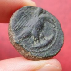 画像8: 古代ギリシャコイン　シチリア島・アクラガス　銅貨　前４２０－前４０６年　シチリア島の海の幸、カニのコイン (8)