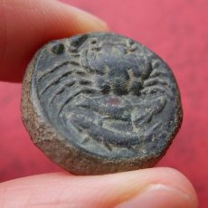 画像5: 古代ギリシャコイン　シチリア島・アクラガス　銅貨　前４２０－前４０６年　シチリア島の海の幸、カニのコイン (5)