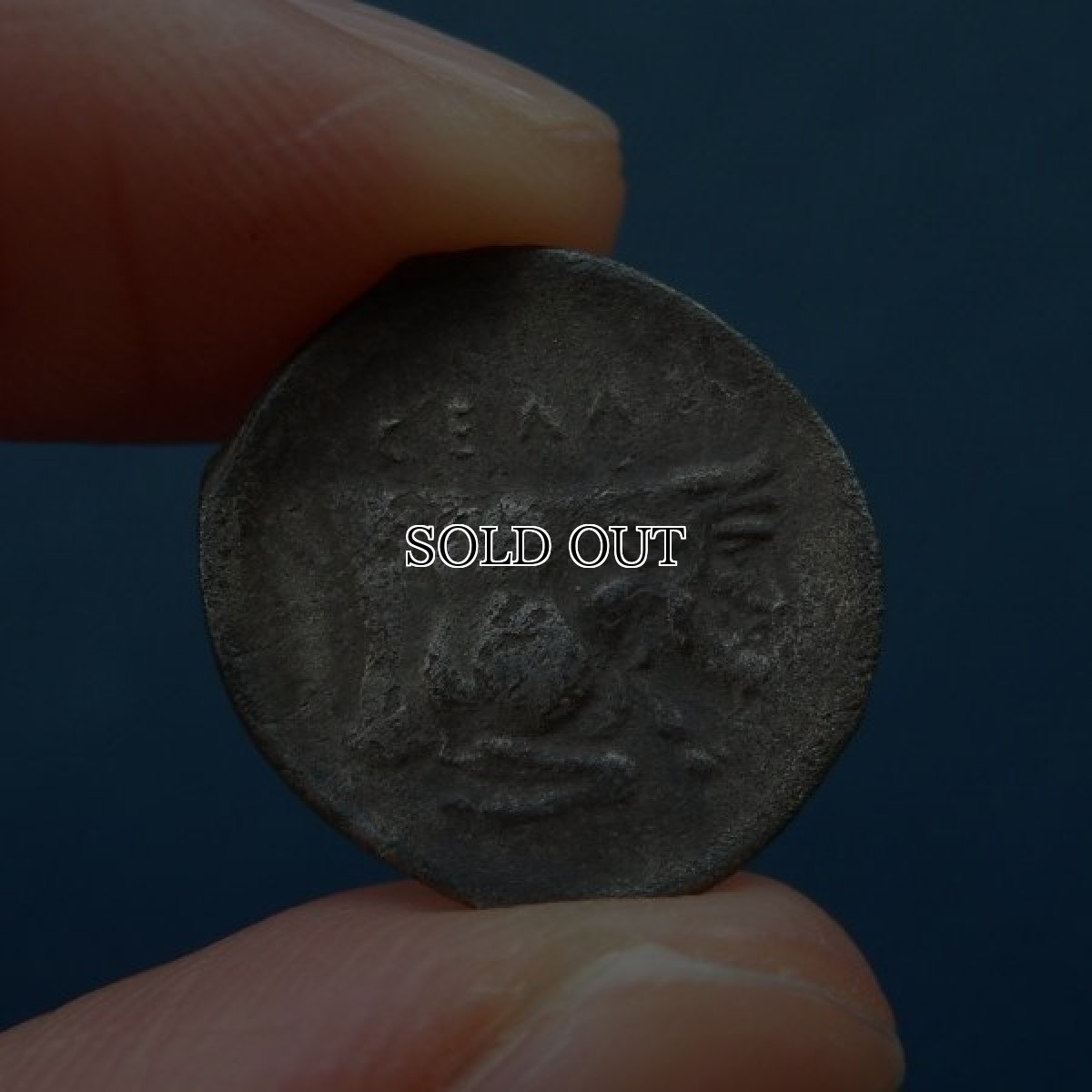 画像5: 古代ギリシャコイン(額装付き)　シチリア島・ジェラ　前５世紀　銀貨　ジェラ川を神格化した人面牛の銀貨 (5)