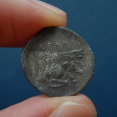 画像5: 古代ギリシャコイン(額装付き)　シチリア島・ジェラ　前５世紀　銀貨　ジェラ川を神格化した人面牛の銀貨 (5)