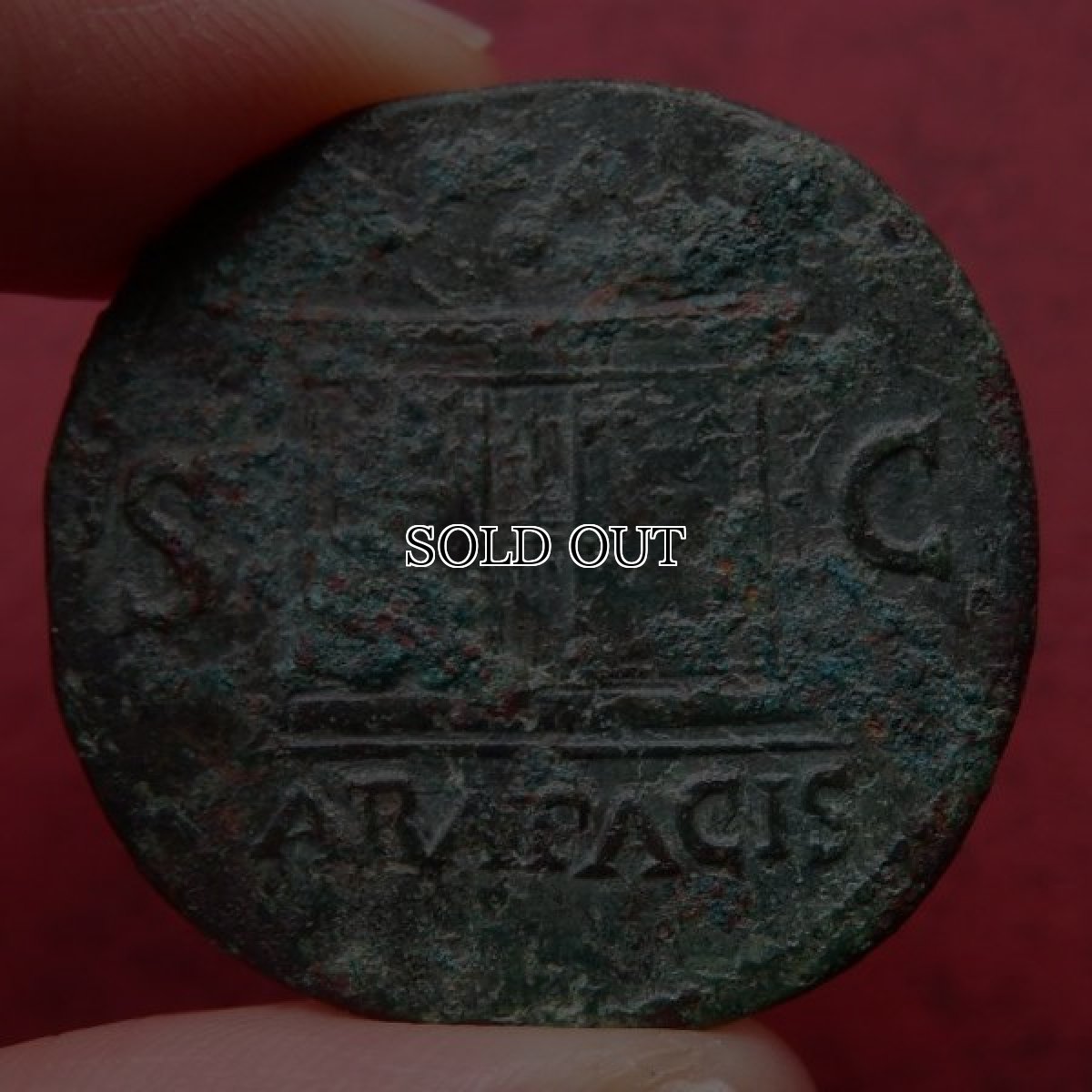 画像6: 古代ローマコイン　帝政期　ネロ　アス銅貨　６５年　ローマに現存するアラ・パキスが刻まれたネロの銅貨 (6)