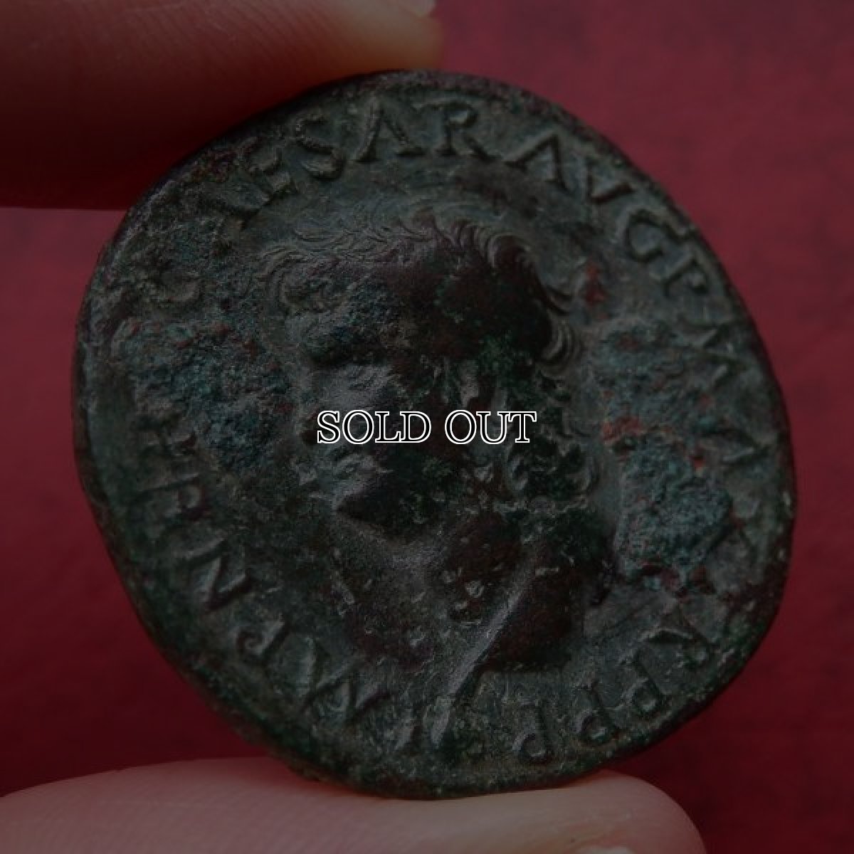 画像5: 古代ローマコイン　帝政期　ネロ　アス銅貨　６５年　ローマに現存するアラ・パキスが刻まれたネロの銅貨 (5)