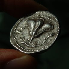 画像8: 古代ギリシャコイン　カリア地方ロードス島　テトラドラクマ銀貨　前２３０－前２０５年　エーゲ海の薔薇の島、ロードス島のヘリオスと薔薇の銀貨  (8)