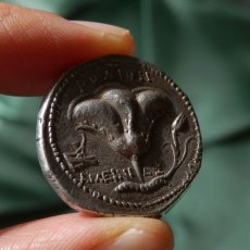 画像7: 古代ギリシャコイン　カリア地方ロードス島　テトラドラクマ銀貨　前２３０－前２０５年　エーゲ海の薔薇の島、ロードス島のヘリオスと薔薇の銀貨  (7)