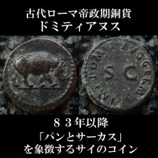 古代ローマコイン　帝政期　ドミティアヌス　クアドランス銅貨　83年以降　「パンとサーカス」を象徴するサイのコイン