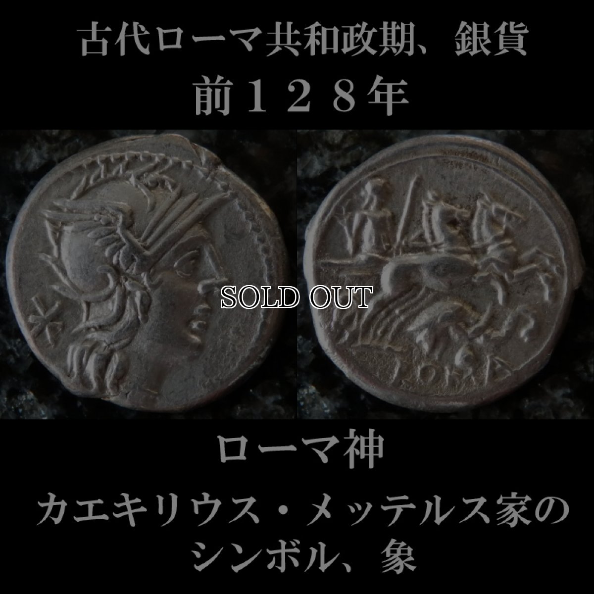 古代ローマコイン　共和政期　ルキウス・カエキリウス・メッテルス　前１２８年　デナリウス銀貨　ローマ神　２頭立て戦車と象の頭　カエキリウス・メッテルス家のシンボル、象