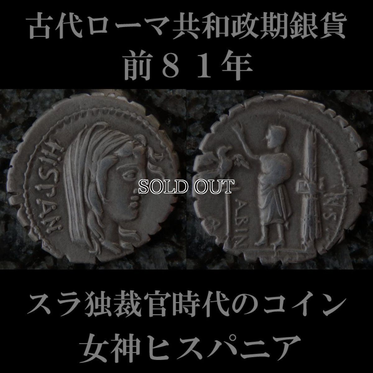 ローマコイン　共和政期　前８１年　ポストゥミウス・アルビヌス　デナリウス銀貨　ヒスパニア神　トガを着たローマ人、ファスケス、鷲の軍旗　スラ独裁官時代のコイン　西洋古代美術