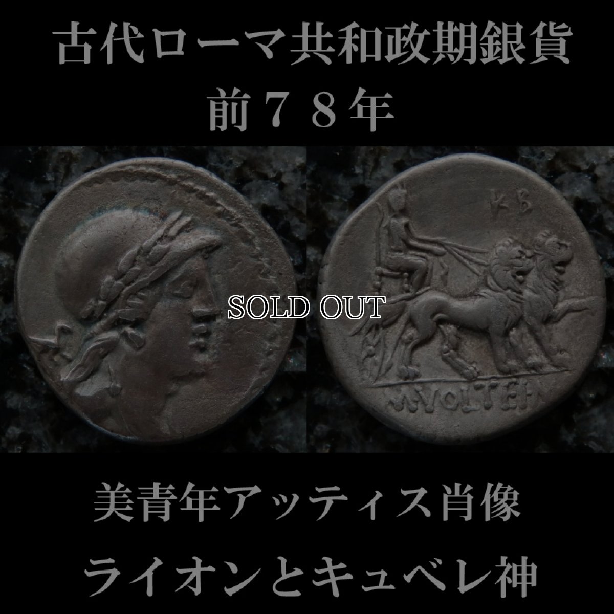 ローマコイン　共和政期　前78年　マルクス・ウォルテイウス　デナリウス銀貨　美青年アッティス肖像　ライオンに車を引かすキュベレ(大地母神)　西洋古代美術
