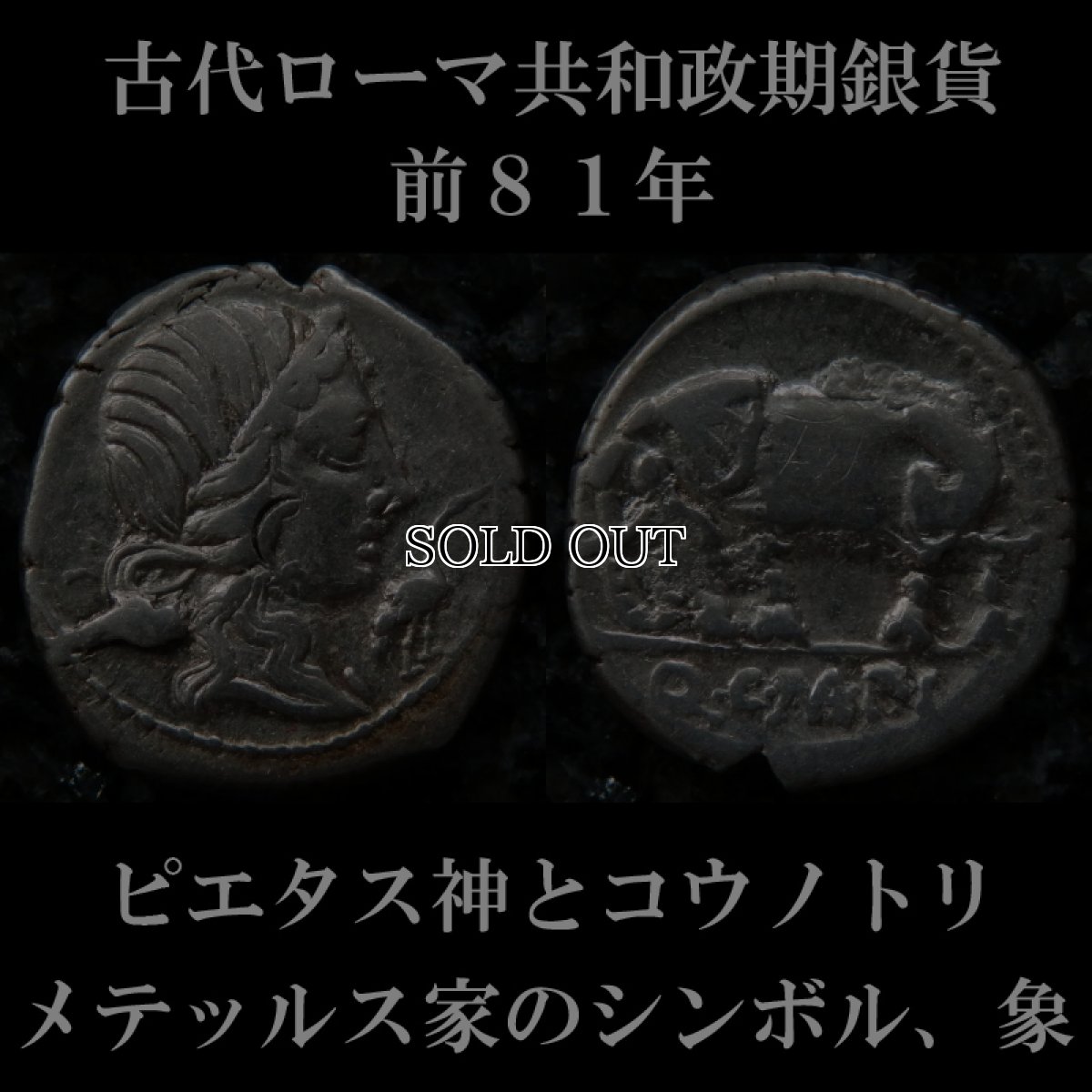 ローマコイン　共和政期　前81年　カエキリウス・メテッルス・ピウス　デナリウス銀貨　ピエタス神とその象徴コウノトリ　メテッルス家のシンボル、象　西洋古代美術